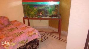 Aquarium with accessories and 08 fishes M.S stand