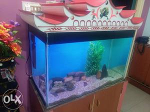 Aquarium with complete accessories, with very