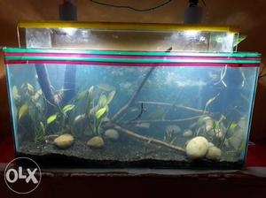 Aquarium with filter, heater,pump n gravels... 2.5 × 1 ×