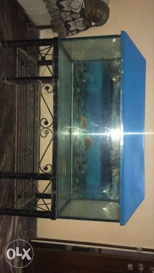 Big aquarium with stand & all other accessories