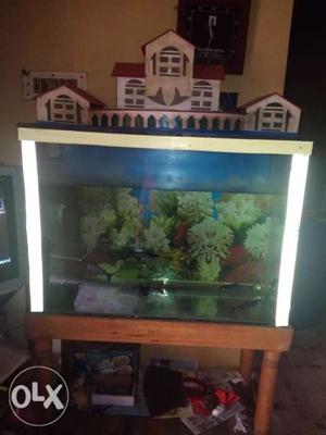 Big fish tank at very 2 low cost. Price is