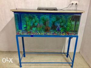 Blue Fish Tank
