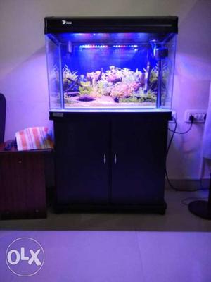 Branded new 2 & half feet imported aquarium tank with stand