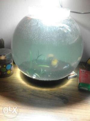 Clear fish bowl