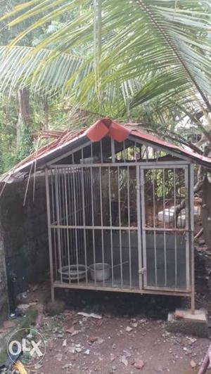Dog cage mild used full iron 120 kg
