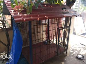 Dog cage with tin roof and tile floor