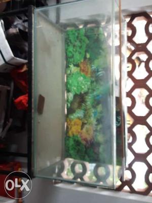 Fish tank and stand rs 