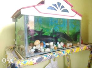 Fish tank not damage, 4 Shark fish, marble