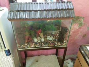 Fish tank set with stand