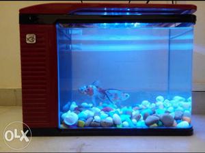 Fish tank with internal pump and led Light.