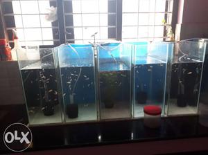 Fish tanks for sale.done by your requirements in lowest