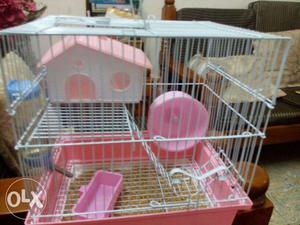 Hamster cage low price chennai