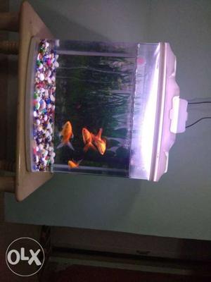 Imported aquarium with fish, n decorative item