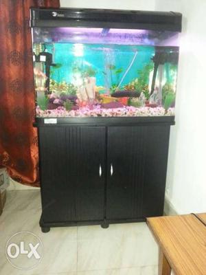 Imported fish tank with wooden cabinet.just an year old
