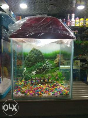 New fish aquarium size 12x12x12 fish tank top