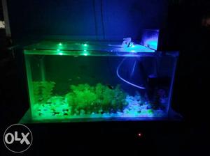 New fish tank with fishes, top filter Special Led