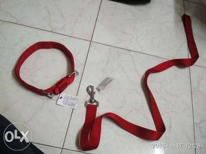 Pet belt (nylon leash)