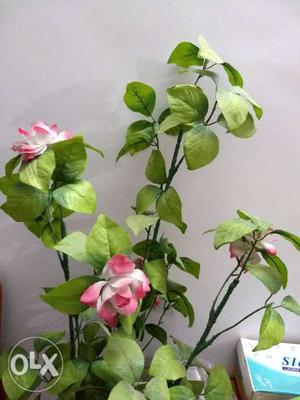 Pink And White Petaled Flowers for decoration