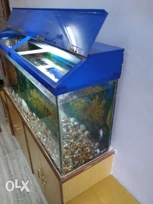 Ready Fish Tank