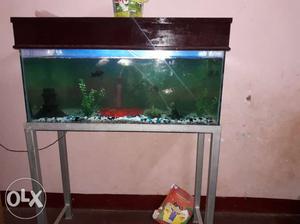 Rectangular Brown Fish Tank and stand