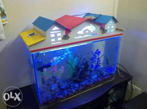 Rectangular White-frame Fish Tank