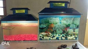Two Fish Tanks with top