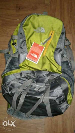 Green And Gray The North Face Backpack