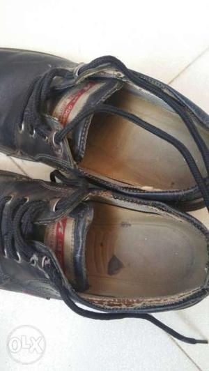 Lee cooper used shoes in Excellent condition