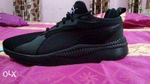 Puma orignal brand new