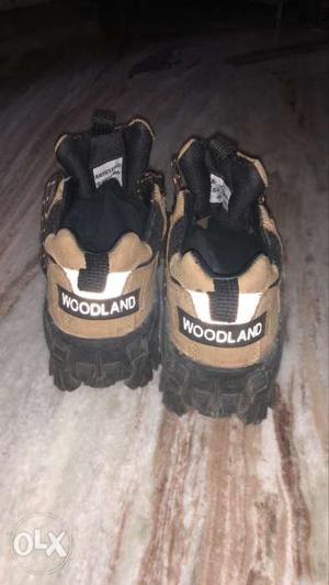 Woodland original shoes in very good condition