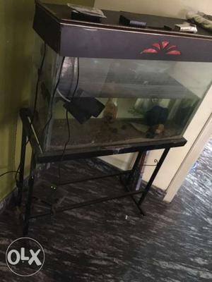 Fish tank with filter 2.5ft /1.5 ft