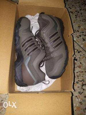 New Sealed Adidas Shoe limited Period Offer price