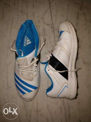 Pair Of White-and-blue Adidas cricket shoes size 10