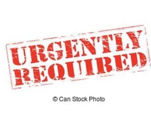 urgent requirement for Sr. Shopify Develope Ahmedabad