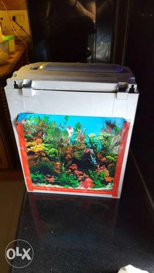 Fish Tank with buit-in filter& water proof lights