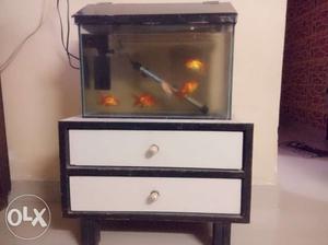 Fish tank with roof top worth 600 with side table