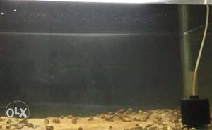 Small fish tank for sell...Size L-20"W-20"H-14.