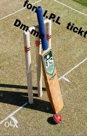 Blue And Brown JS Cricket Bat And Red Ball