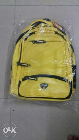Echolac brand new laptop bagpack, spacious with several