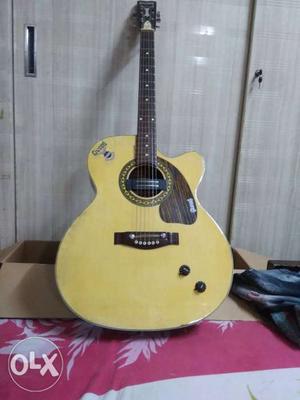 Givson guitar in good condition