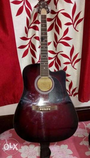 KAPS acoustic guitar, just over a year old, comes