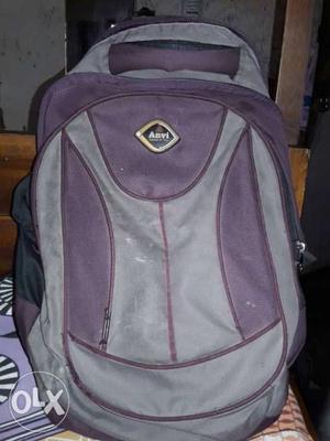 Purple And Gray Anvi Backpack
