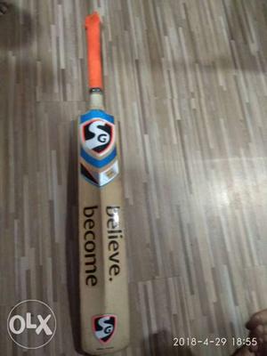 Sg Rsd Plus Cricket Kashmir Willow