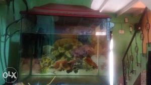 1-5fit tank Red-framed Clear Fish Tank