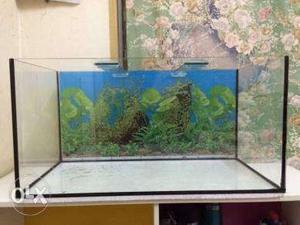2 feet aquarium With Top Cover