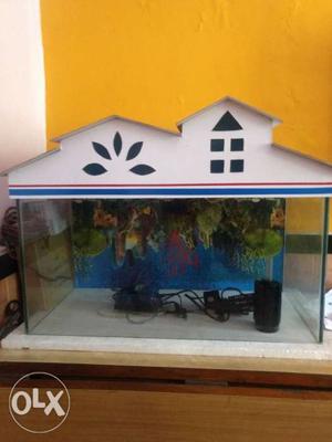 2 ft x 1ft x 1ft fish Aquarium for sale with SOBO
