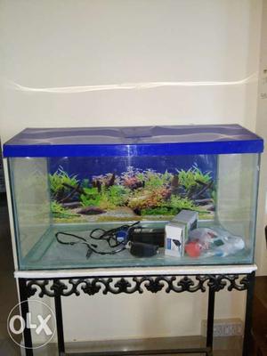 30x15x15 cm aquarium with PVC Top along with iron