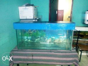3ft tank 4.5 also available