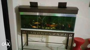 4.5 feet length wid stand nd wooden cover... widout fish
