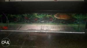 4 feet tank, 5 inches Cooper Oscar, piano shed,